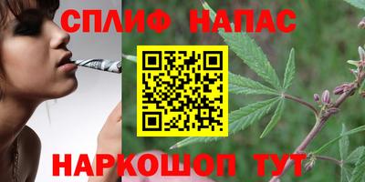 мяу мяу мука Ставрополь