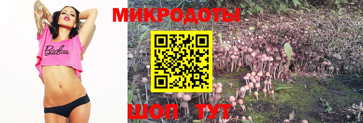 Псилоцибиновые грибы GOLDEN TEACHER Сальск